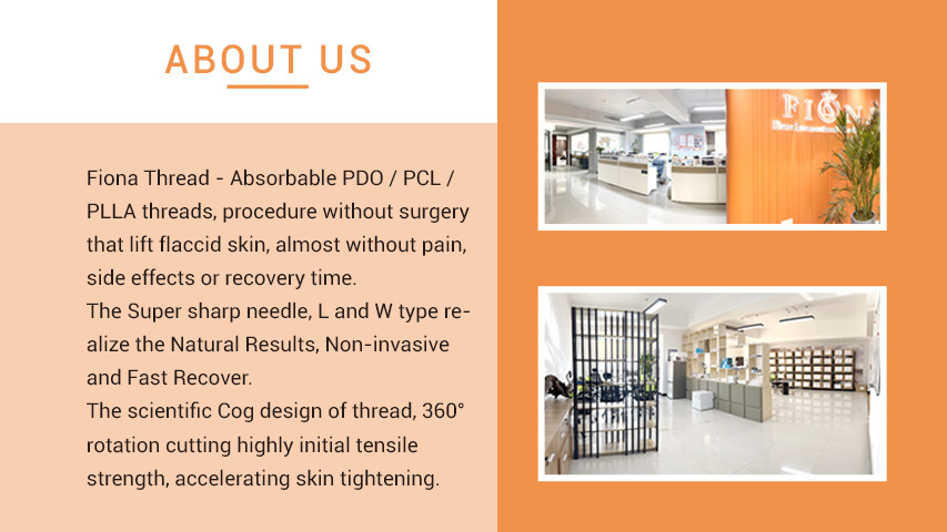 China Fiona International Trading Co., Ltd Unternehmensprofil