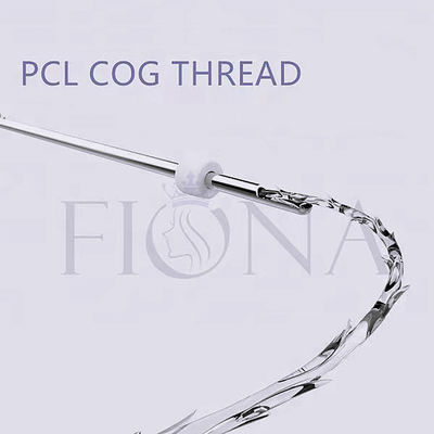 Faden-Aufzug Agulha Afiada 21G 60mm Canulado Canulas-PCL Nadel