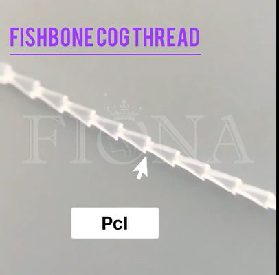 Fishbone-Formteil-Zahn-Faden PDO PCL für Gesichts-Kontrolle bewaffnen das Anheben
