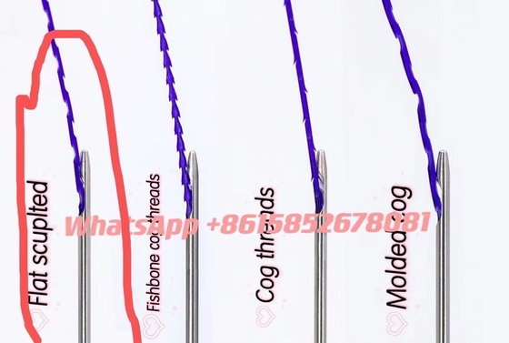 Flaches Scuplted formte Zahn-Faden für Face lifting