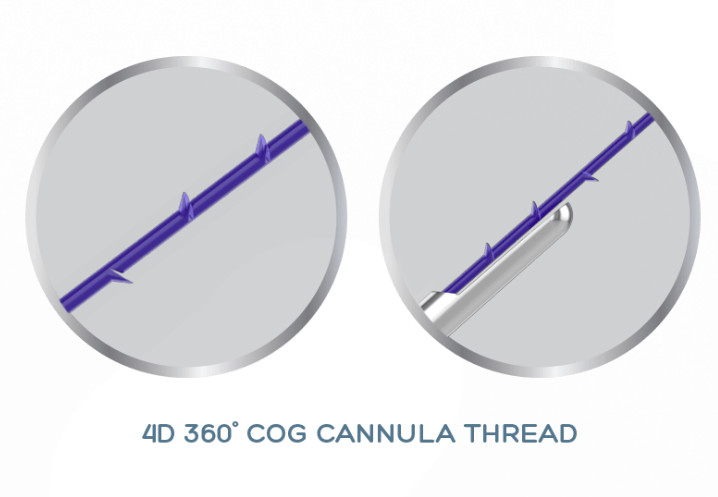 Cannulla-Faden-Aufzug 19G-100mm ZAHN PDO PCL PLLA 4D für nicht chirurgisches Face lifting